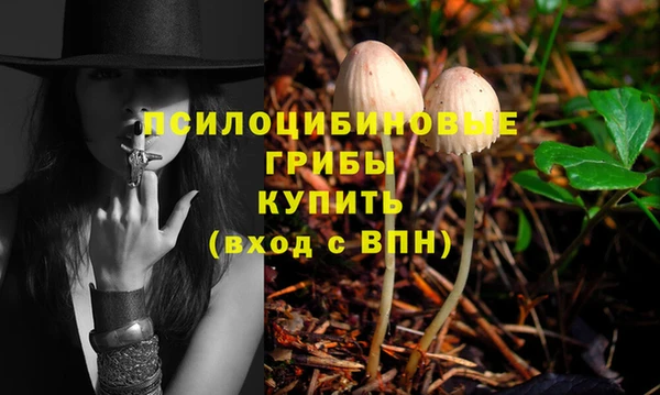 бошки Алексеевка