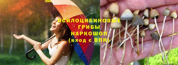 метамфетамин Алзамай