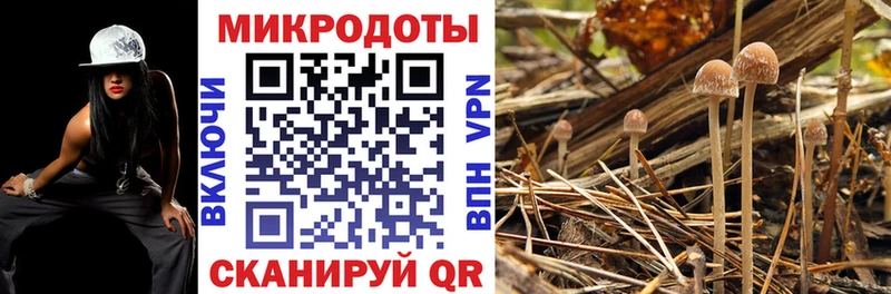 Галлюциногенные грибы MAGIC MUSHROOMS  Электрогорск 