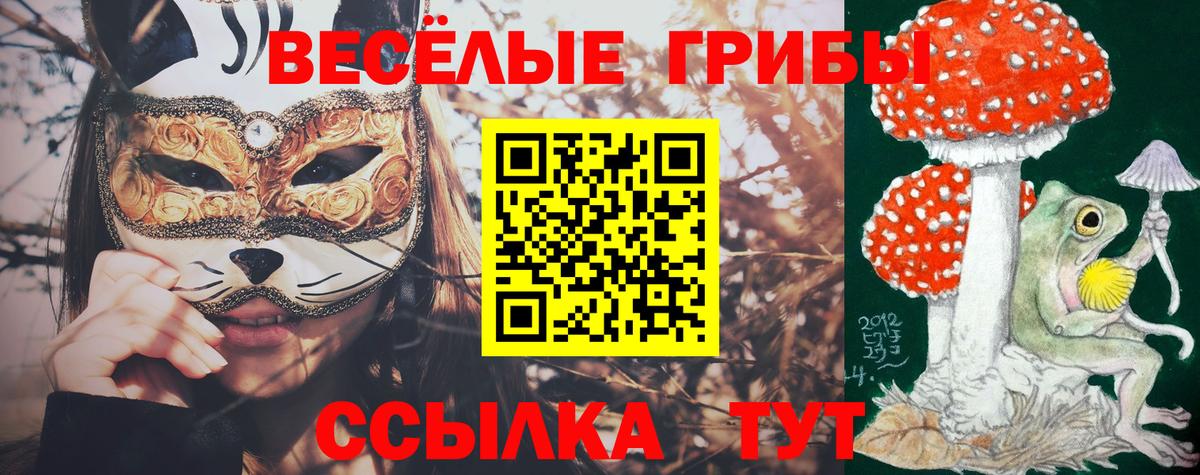 Электрогорск  Галлюциногенные грибы мицелий  Вход с VPN  Псилоцибиновые грибы прущие грибы 