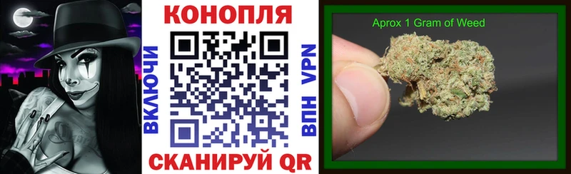 Шишки марихуана планчик  мориарти состав  Электрогорск 